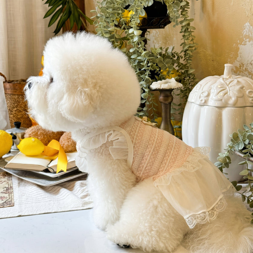 Petalure Studio | Artisan Summer Lace Fairy Dress - Flutter Sleeve Muse