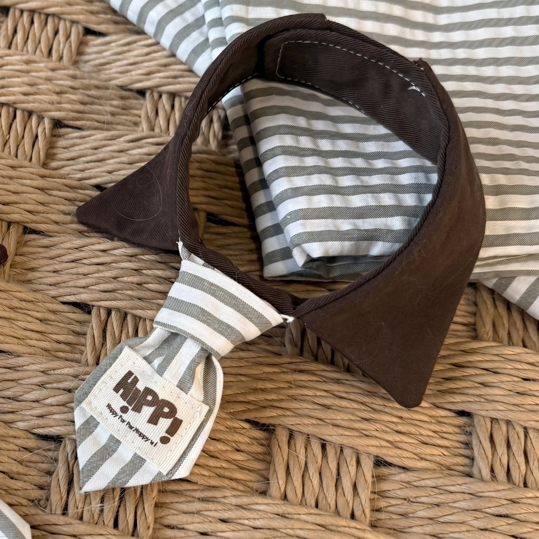Petalure Studio | Artisan Gentleman Pet Tie - Dapper Vintage Muse