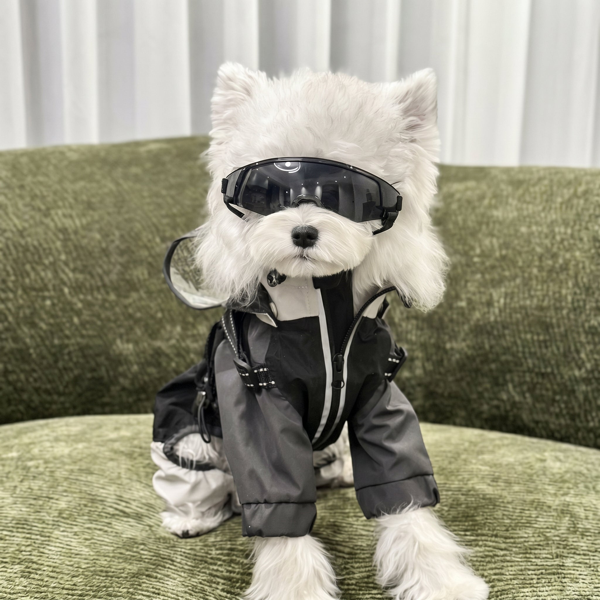Petalure Studio | Artisan Adventure Dog Goggles - Sun-Drenched Muse