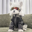 Petalure Studio | Artisan Adventure Dog Goggles - Sun-Drenched Muse