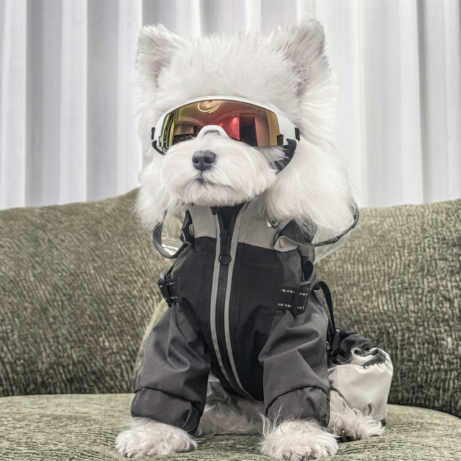 Petalure Studio | Artisan Adventure Dog Goggles - Sun-Drenched Muse