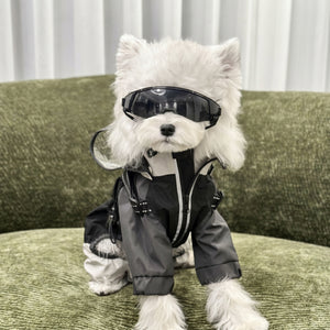 Petalure Studio | Artisan Adventure Dog Goggles - Sun-Drenched Muse