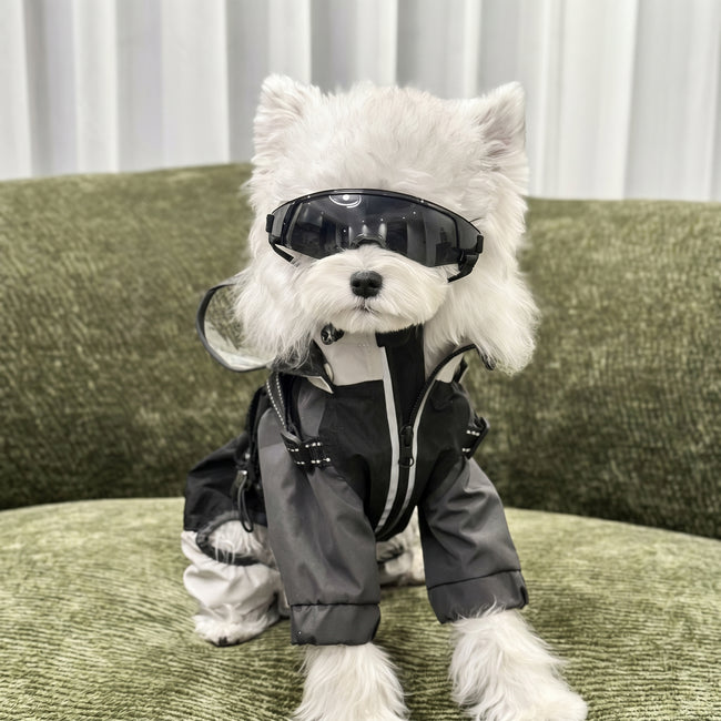 Petalure Studio | Artisan Adventure Dog Goggles - Sun-Drenched Muse