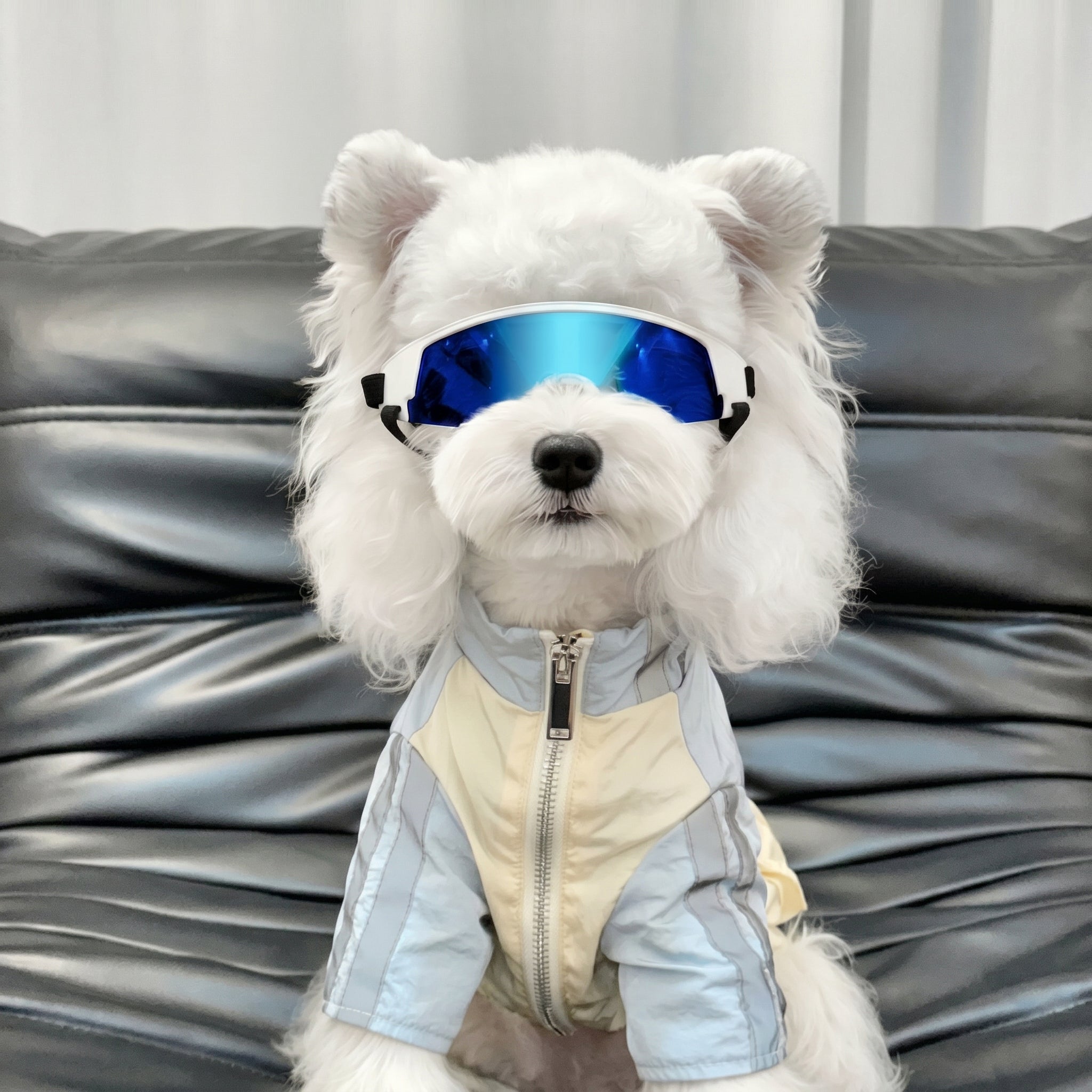 Petalure Studio | Artisan Adventure Dog Goggles - Sun-Drenched Muse