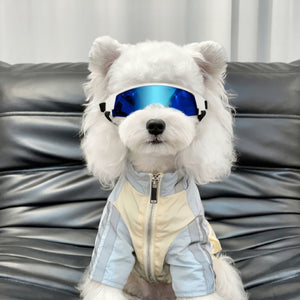 Petalure Studio | Artisan Adventure Dog Goggles - Sun-Drenched Muse