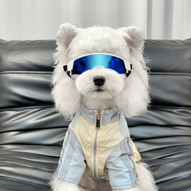 Petalure Studio | Artisan Adventure Dog Goggles - Sun-Drenched Muse