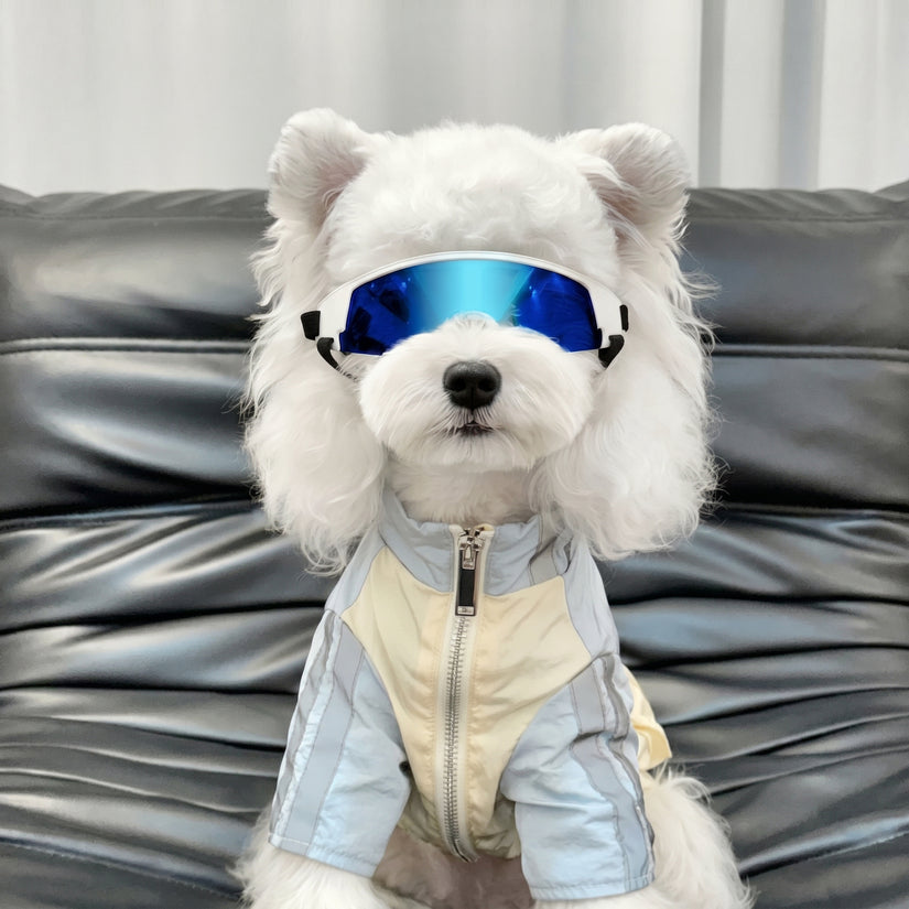 Petalure Studio | Artisan Adventure Dog Goggles - Sun-Drenched Muse