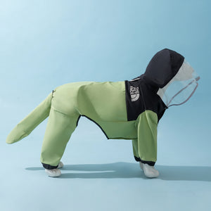 Petalure Studio | Artisan Dino Dog Raincoat - The Adventure Muse