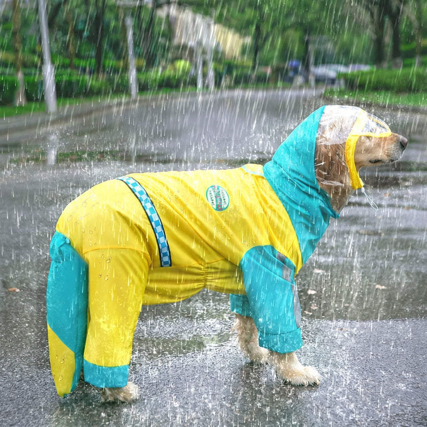 Petalure Studio | Artisan Dino Dog Raincoat - The Adventure Muse