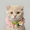 Petalure Studio | Artisan Hand-Knit Sun-Drenched Floral Collar - Whimsical Spring Muse