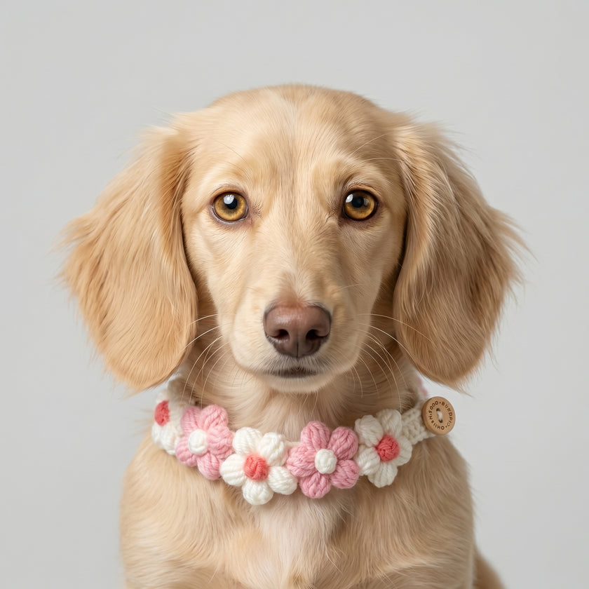 Petalure Studio | Artisan Hand-Knit Puff-Bloom Collar - Whimsical Spring Muse