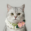 Petalure Studio | Artisan Hand-Knit Sun-Drenched Floral Collar - Whimsical Spring Muse