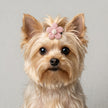 Petalure Studio | Whimsical Artisan Hair Clip Set - The Healing 